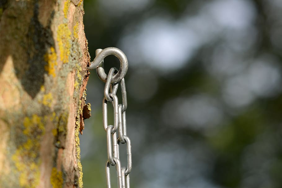 chain, eye, tree, bokeh, safety, ring, steel, iron, climb, rescue HD wallpaper