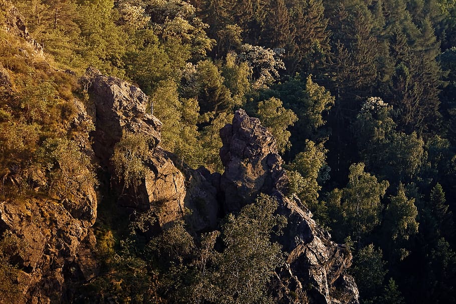 Steep, Rugged, Mountain, Rocks, cliff, terrain, wooded, forest HD wallpaper
