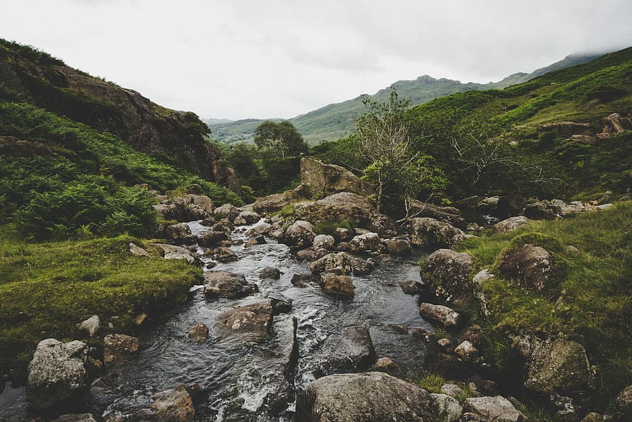brown rock formation beside green grass during daytime, river and stones near trees on hills HD wallpaper