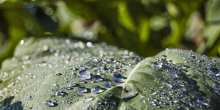dawn, clouds, dew, sky, good morning, ray, water, drops, nature HD wallpaper