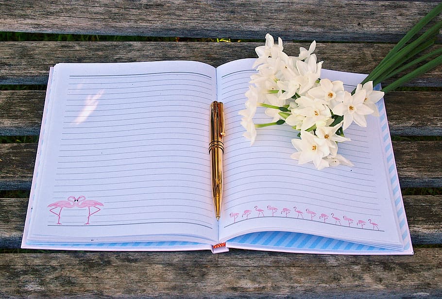 flat lay photography of open notebook with pen and flowers on top, HD wallpaper