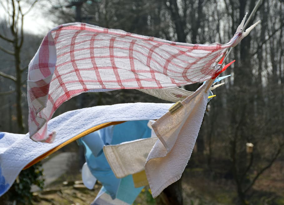 Laundry, Wind, Flutter, Blow, Live, outdoors, day, tree, winter HD wallpaper