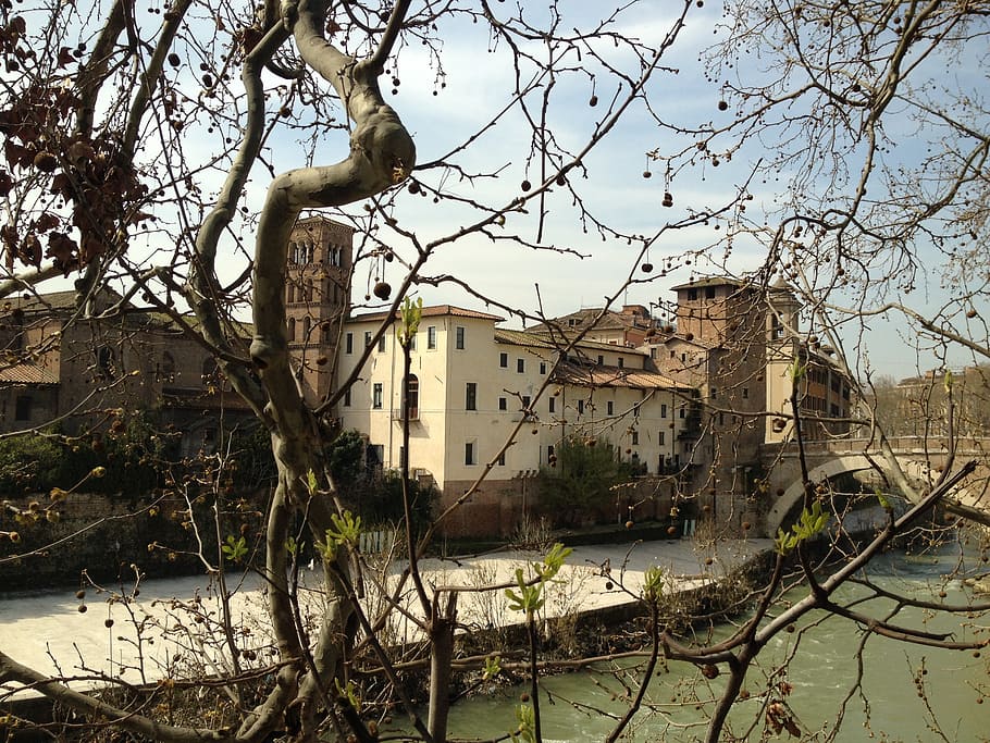 island, tiber, branches, edge, river, spring, rome, building exterior HD wallpaper