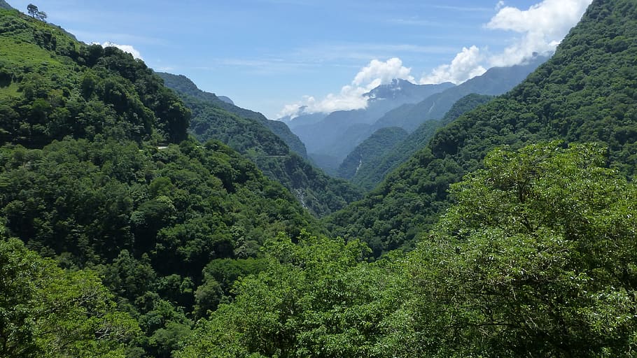green mountain with trees during daytime, Landscape, Mountains HD wallpaper