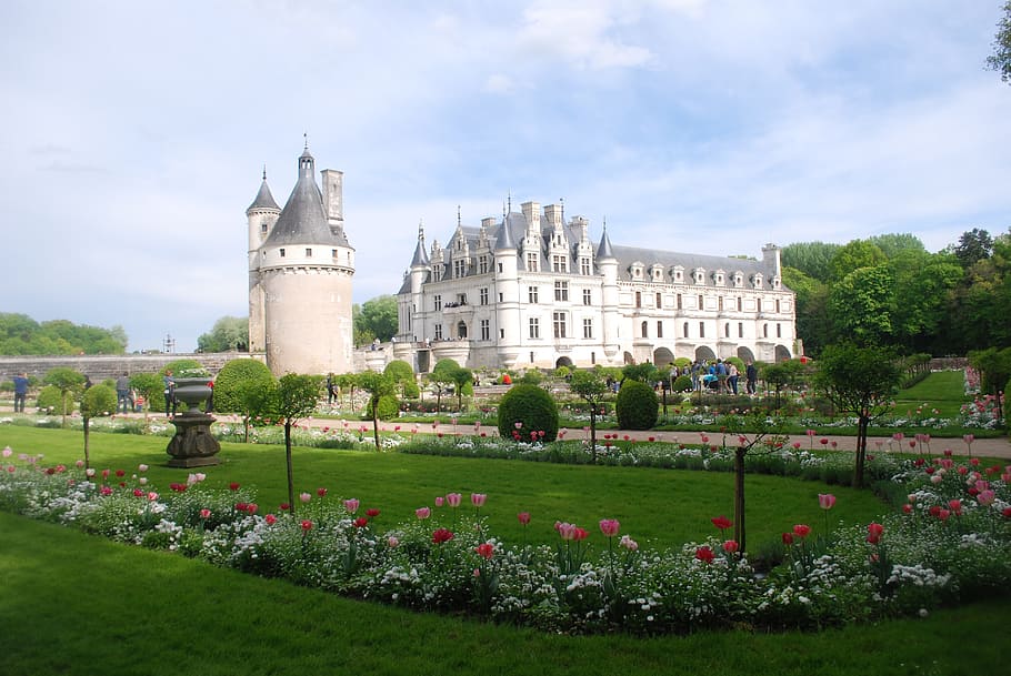 chenonceaux, castle, tourism, renaissance, loire, garden, plant, HD wallpaper