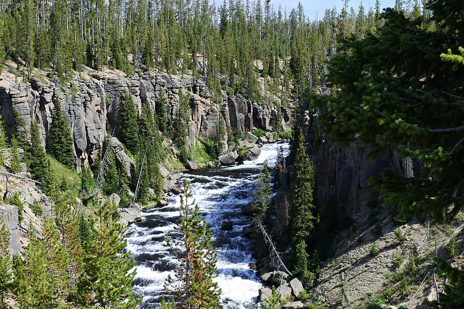 river surrounded with trees and rocks during daytime, river surrounded trees and rocks HD wallpaper