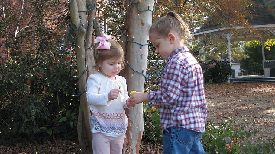 two child playing near tree with string lights during daytime