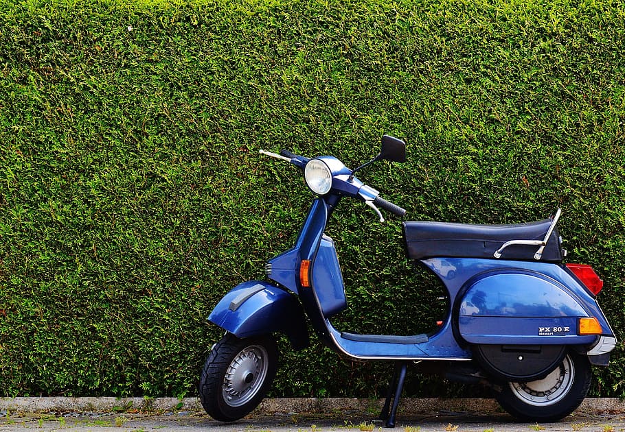 Blue Moped by Green Bush at Roadside, classic, drive, foliage, HD wallpaper