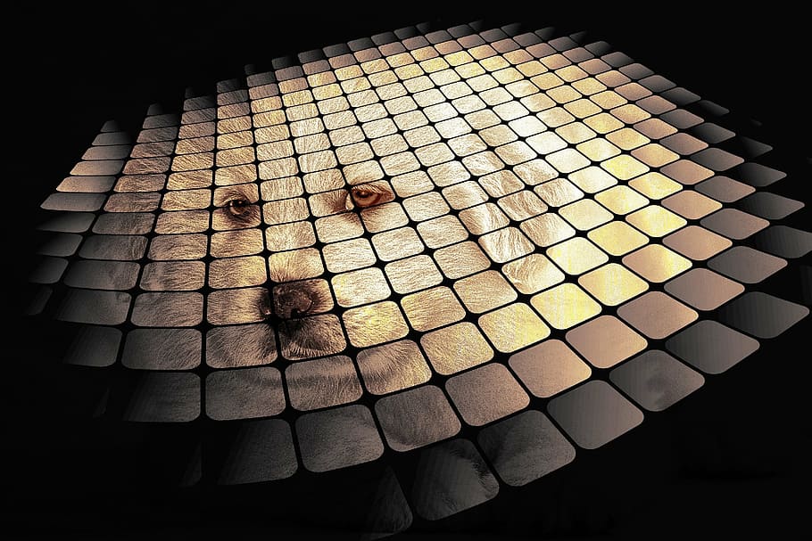 digital art, creative, computer graphic, design, artwork, grid HD wallpaper