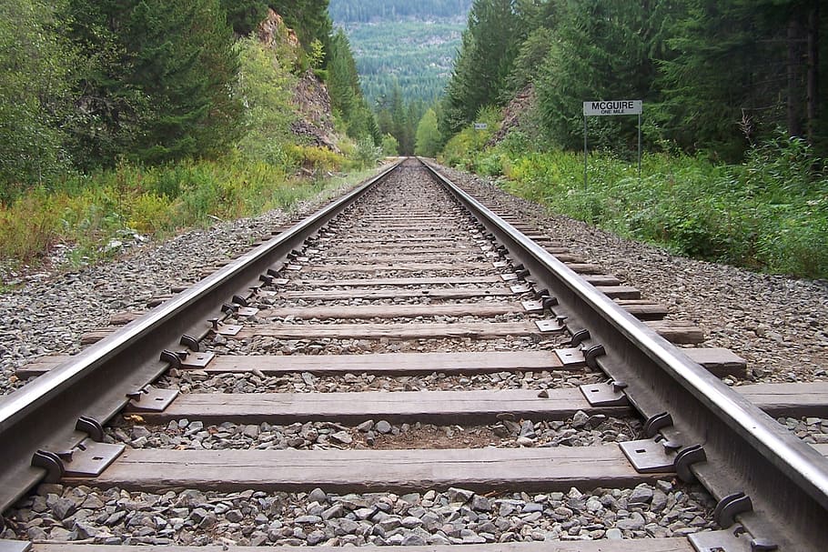 beige and gray train rail surrounded by trees, way, railway, railroad tracks