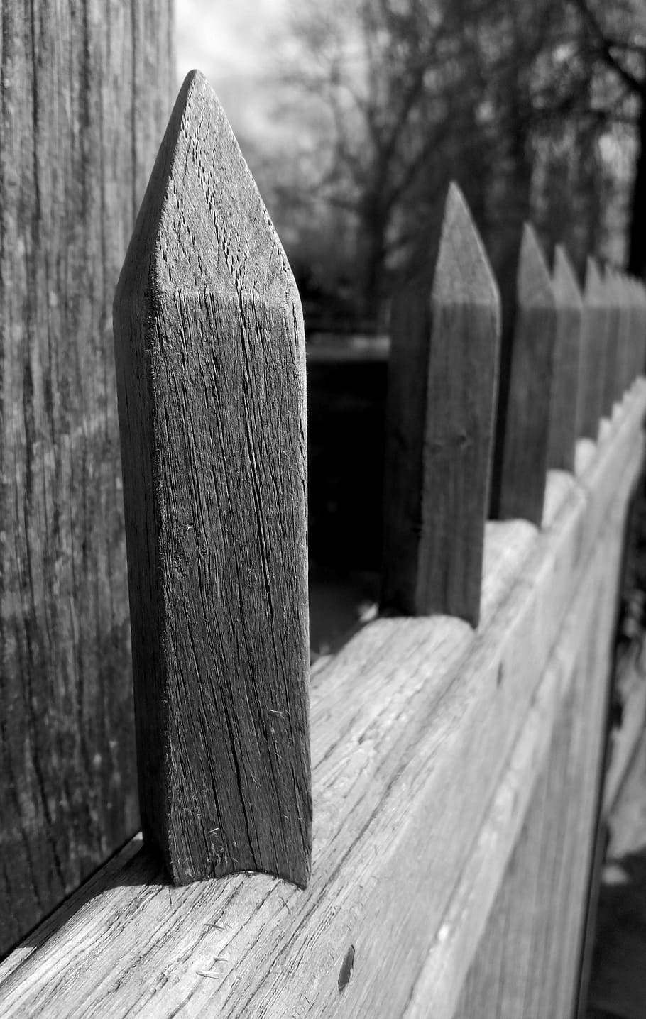 b w, creative, focus, fence, design, creativity, retro, style HD wallpaper