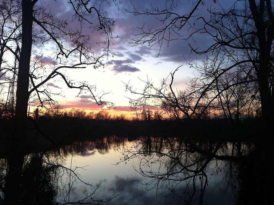 River, Trees, Relaxation, nature, lake, reflection, water, landscape HD wallpaper