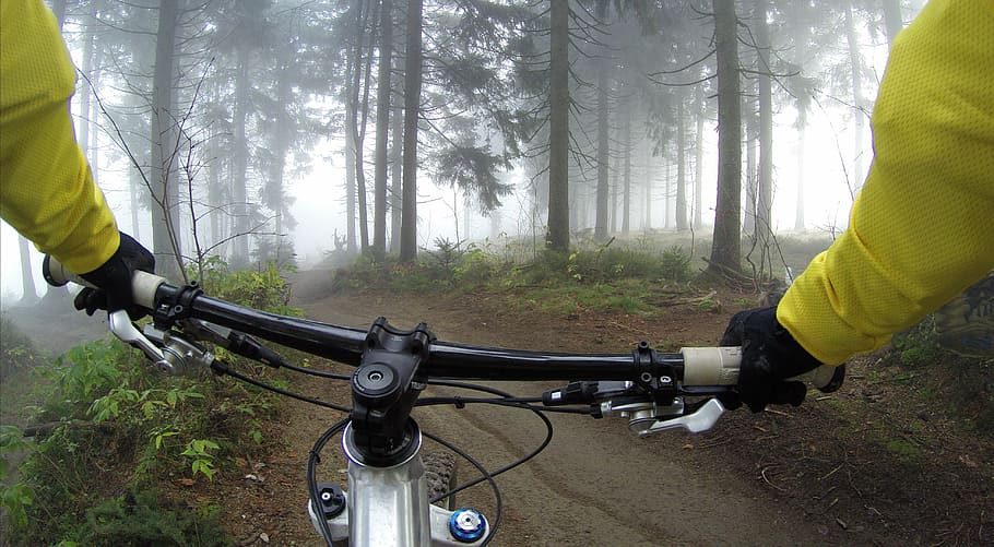person riding bicycle surrounded by forest trees, cycling, handlebars