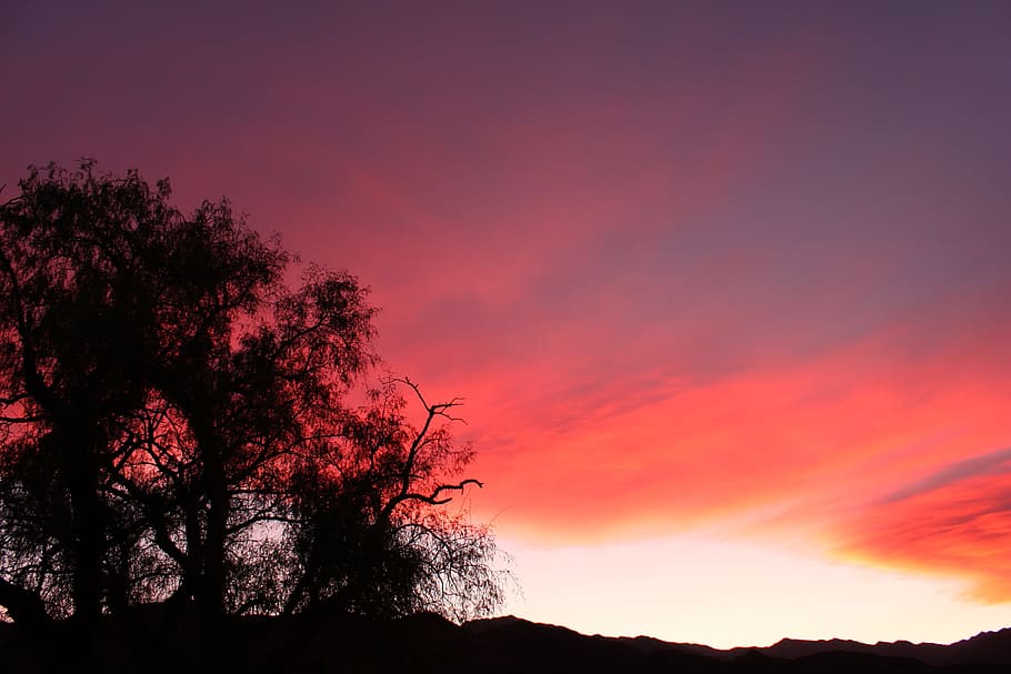 Sky, Sunset, Mountain, Clouds, pink, nature, silhouette, tree HD wallpaper