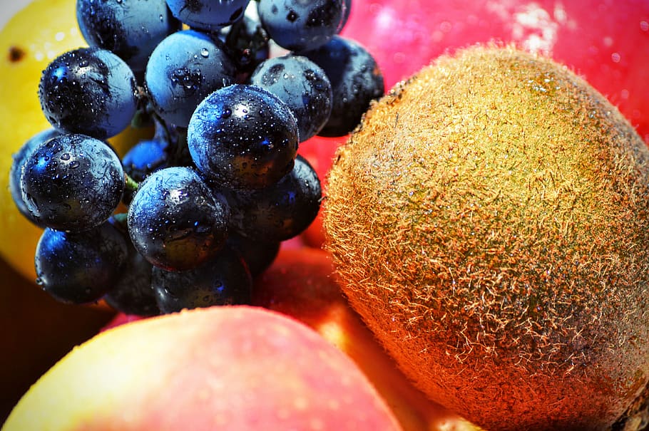 grape, kiwi, fruit, apple, raw, healthy, berry, fresh fruit HD wallpaper