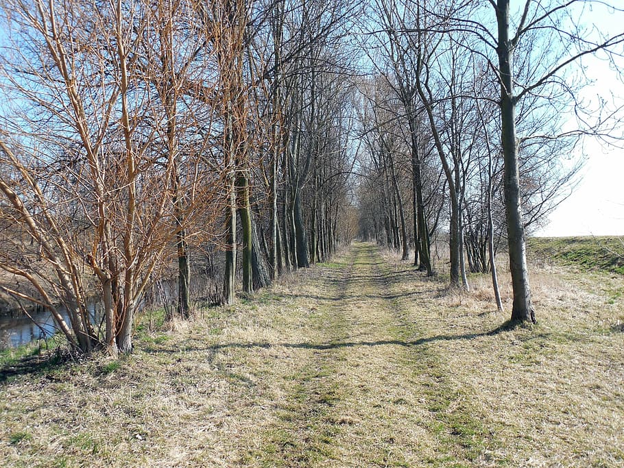 away, hiking, path, trail, nature, landscape, migratory path HD wallpaper