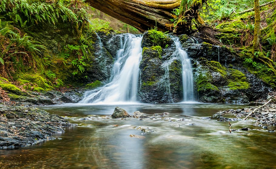 water falls near green trees, waterfall near forest, moss, stream HD wallpaper