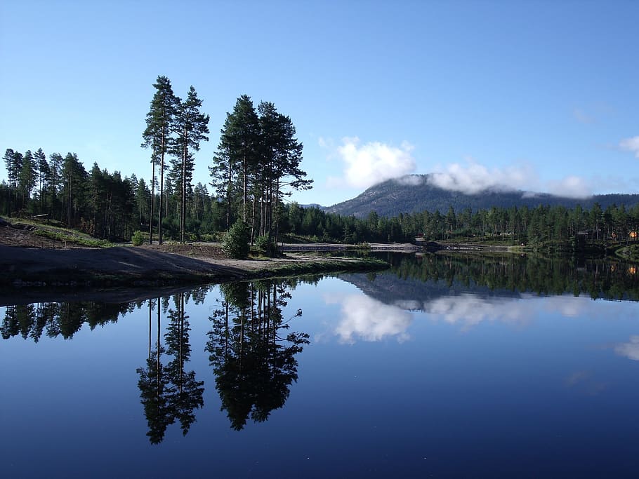 landscape, norway, lake, reflection, trees, sky, water, tranquility HD wallpaper