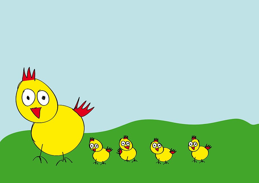 Hen, Chicks, Chicken, Comic, drawing, meadow, poultry, range HD wallpaper