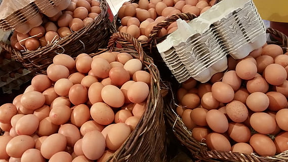 chicken egg lot, easter, sales stand, holland, egg carton, protein HD wallpaper