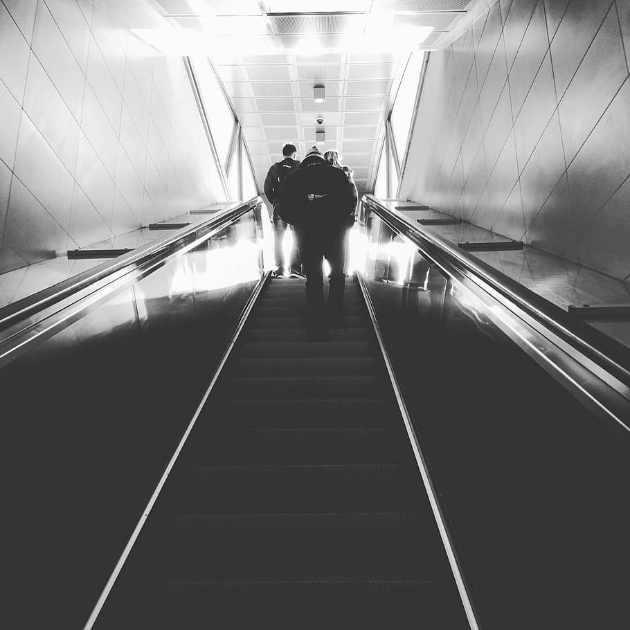 grayscale photo of people climbing using escalator stairs, escalaror