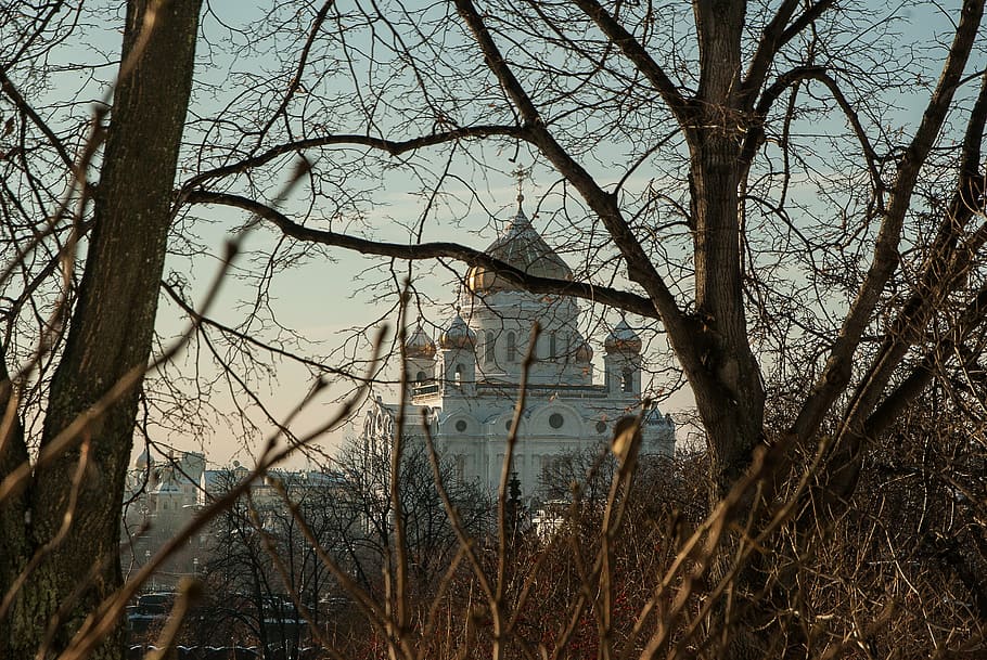 moscow, cathedral, christ-savior, cupolas, othodoxe, bare tree HD wallpaper