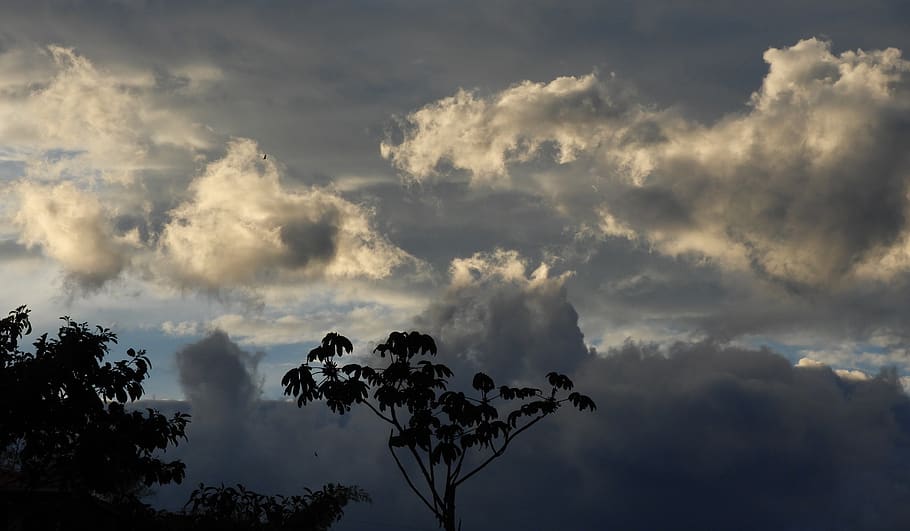 landscape, clouds, trees, mountain, colombia, cloud - sky, beauty in nature HD wallpaper