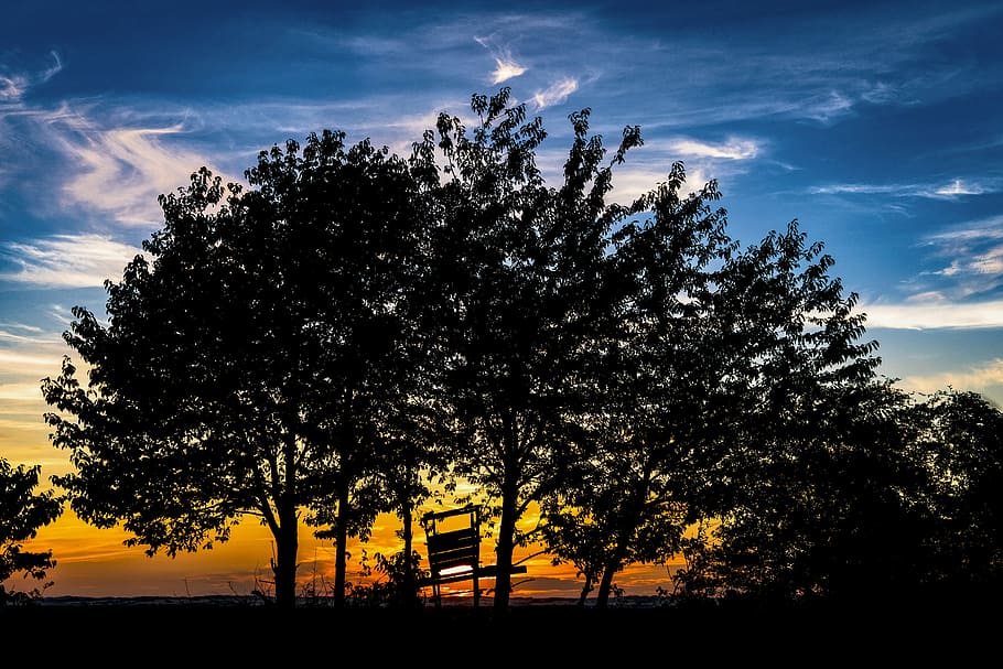 Hunter, Silhouette, Treehouse, hunter was, forest, perch, view HD wallpaper