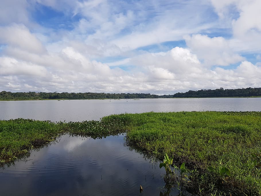 parque do utinga, lake, cloud - sky, water, beauty in nature HD wallpaper