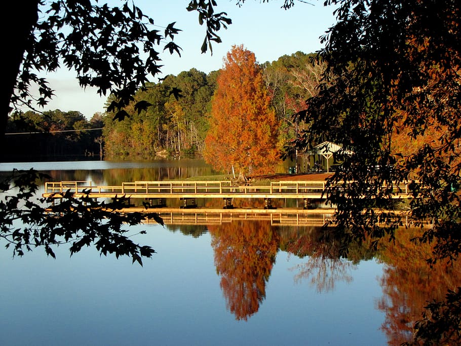 lake, water, tree, landscape, scenery, nature, fall, pier, reflection HD wallpaper