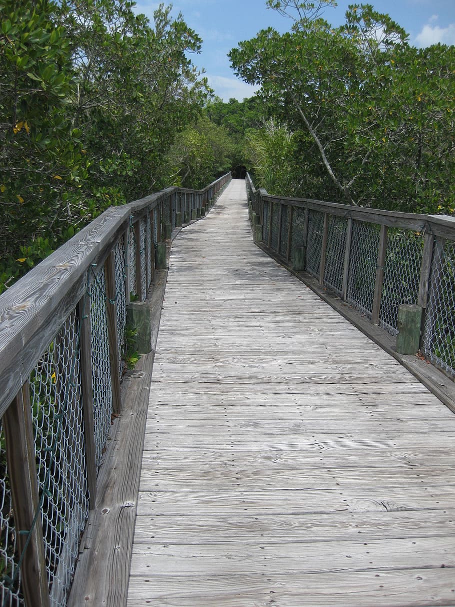 bridge, foot bridge, path, nature, crossing, coast, coastal HD wallpaper