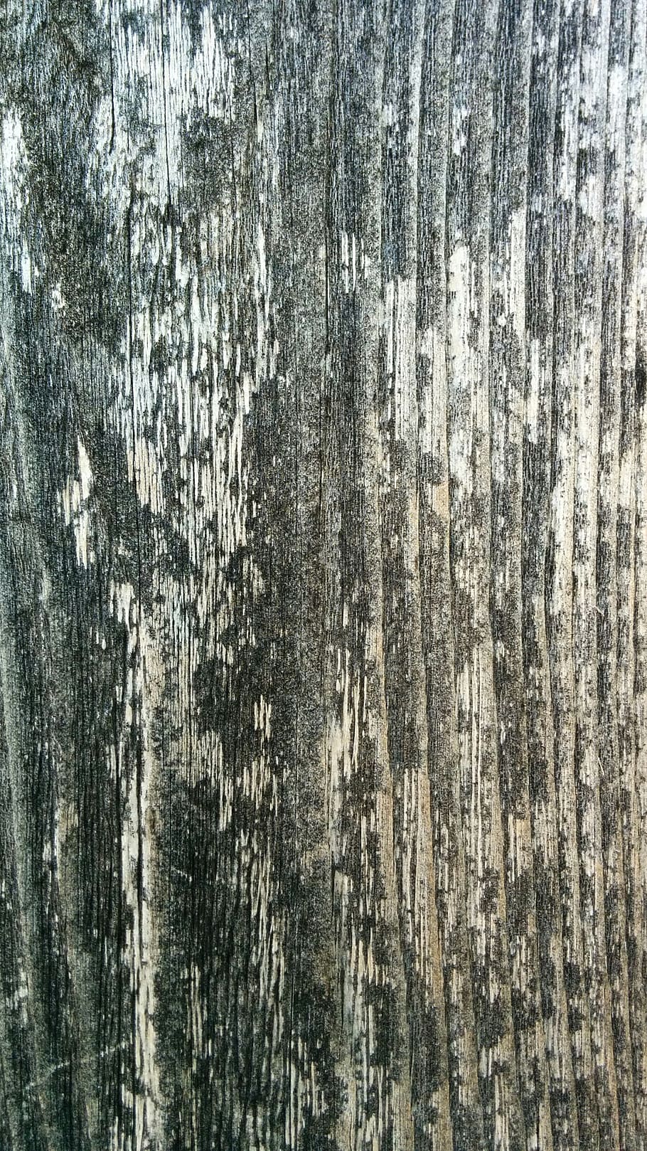 wood, texture, pattern, wooden, material, timber, hardwood HD wallpaper
