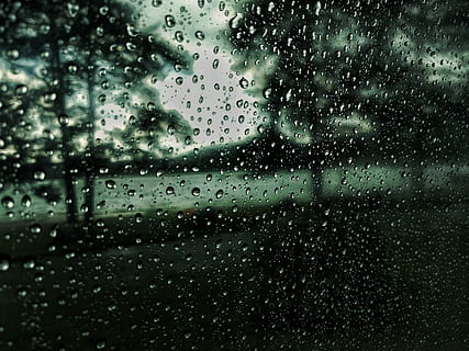 Drops, Rain, Water, Water, Drop, Nature, Macro, raindrops, wet HD wallpaper