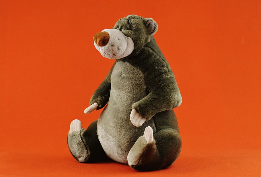 black bear plush toy, soft toy, disney, stuffed animal, cute, HD wallpaper