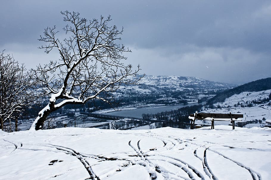 snow, landscape, nature, tree, winter, cold temperature, scenics - nature HD wallpaper
