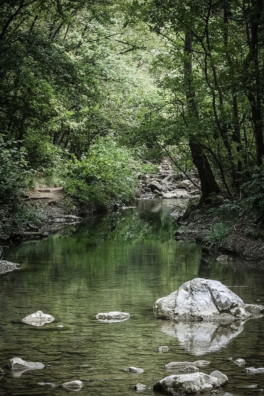 river between trees, forest, water, green, rock, stone, reflection HD wallpaper