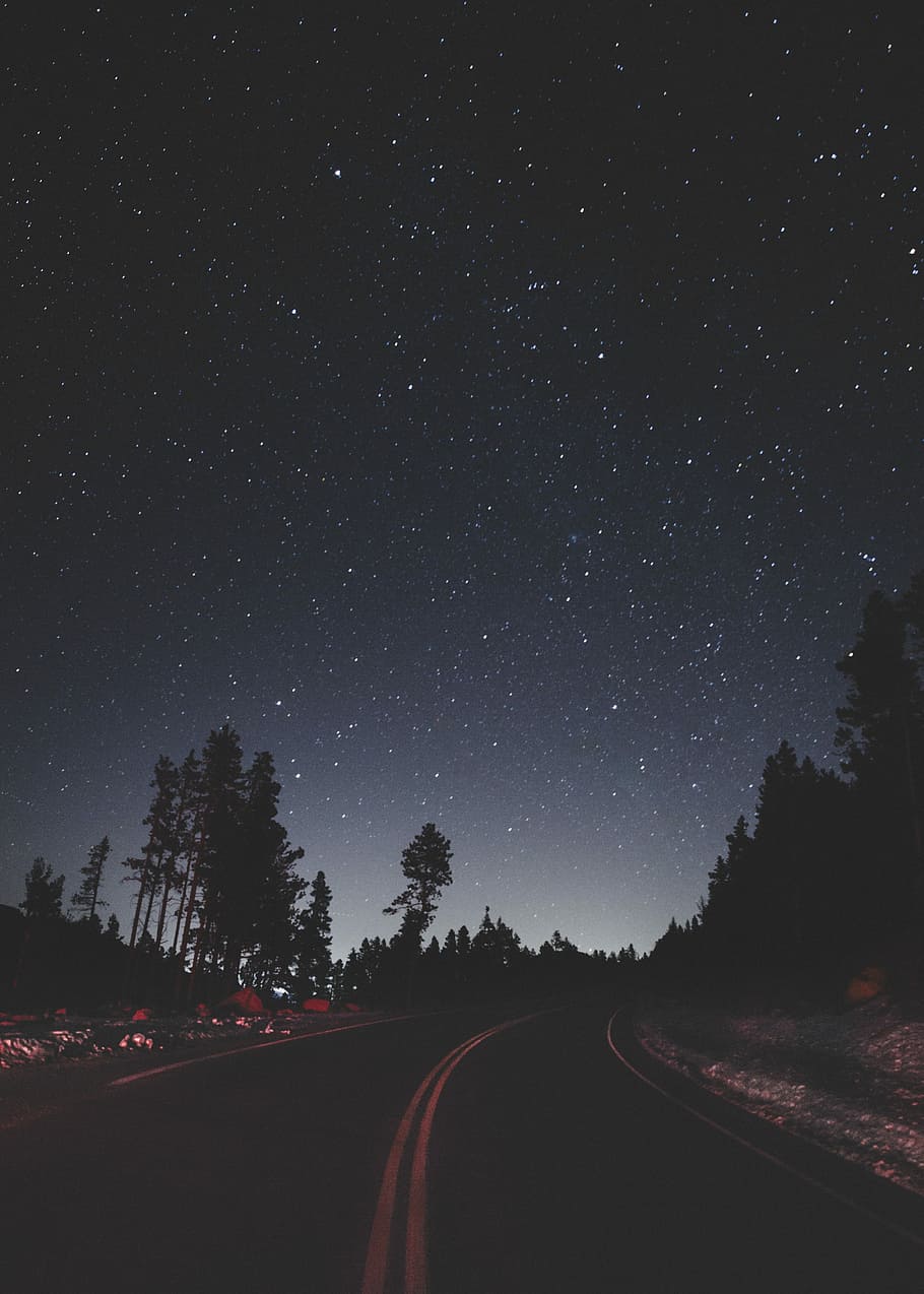 Looking Up, empty road between trees under sky with stars, night, HD wallpaper