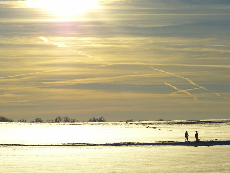 wintry, tree, away, evening, abendstimmung, traces, snow landscape HD wallpaper