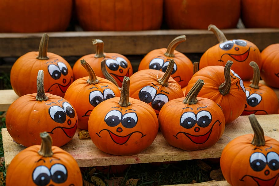 pumpkin decors on brown wooden surface, Figures, pumpkins, autumn HD wallpaper