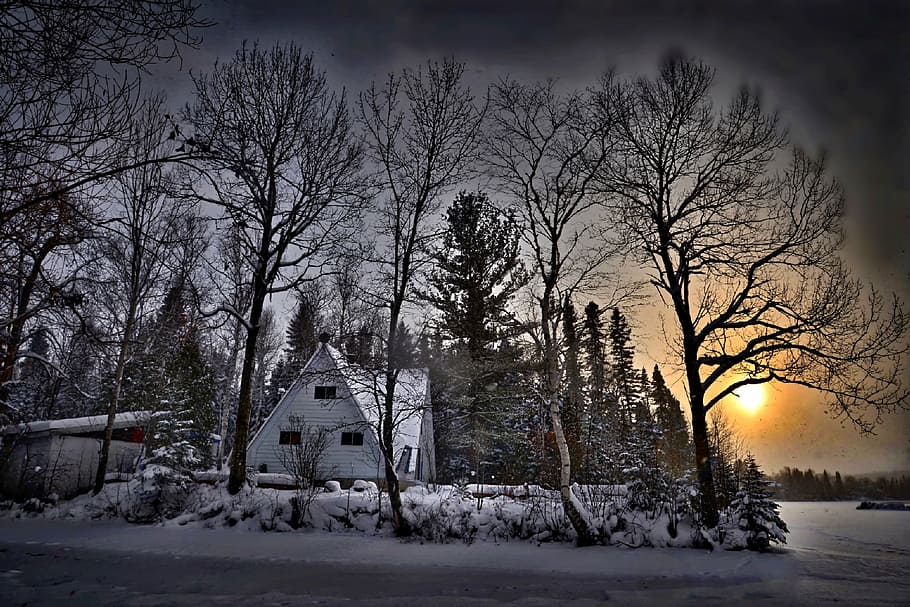 bare trees at sunset, winter landscape, snow, house, twilight HD wallpaper
