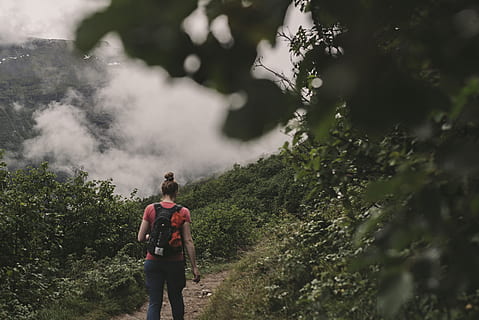 woman standing beside green plants, forest, trail, hiking, back pack HD wallpaper