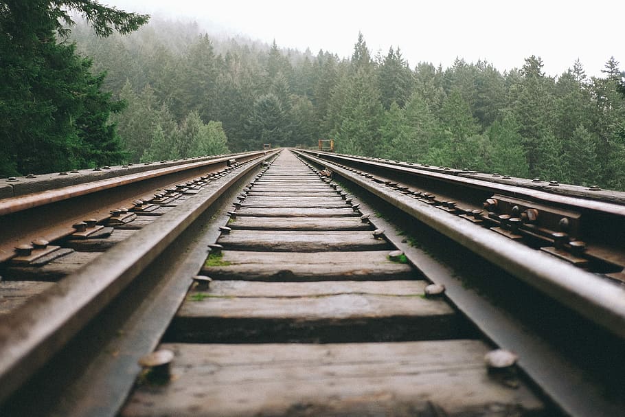 brown and black train rails, black and brown train track, railroad