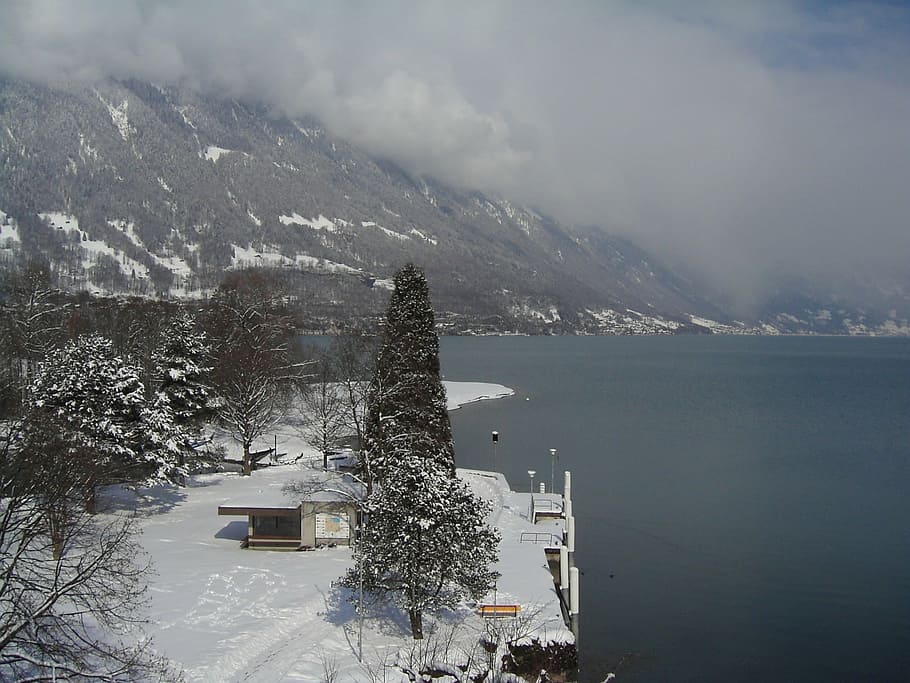 bönigen, switzerland, winter, snow, mountain, nature, landscape HD wallpaper