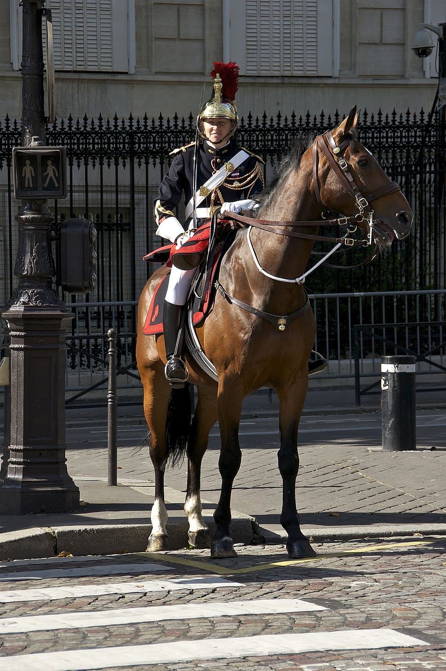 cavalry, horse, military, french, republican guard, paris, female, HD wallpaper