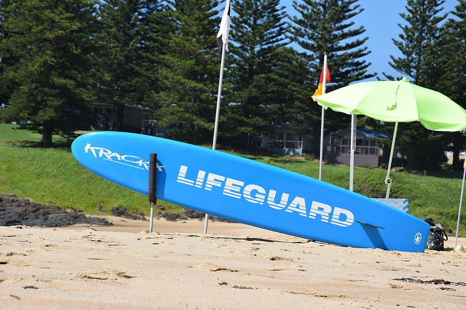 beach, australia, rescuers, surfboard, rest, safety, plant, HD wallpaper