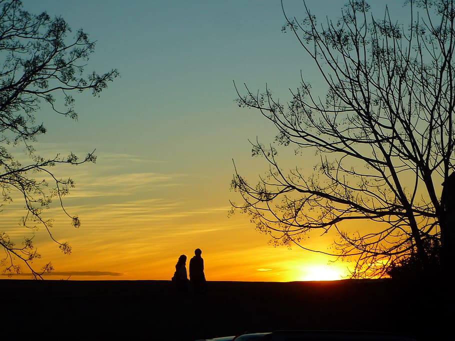 silhouette photography of man and woman between trees, adarve HD wallpaper