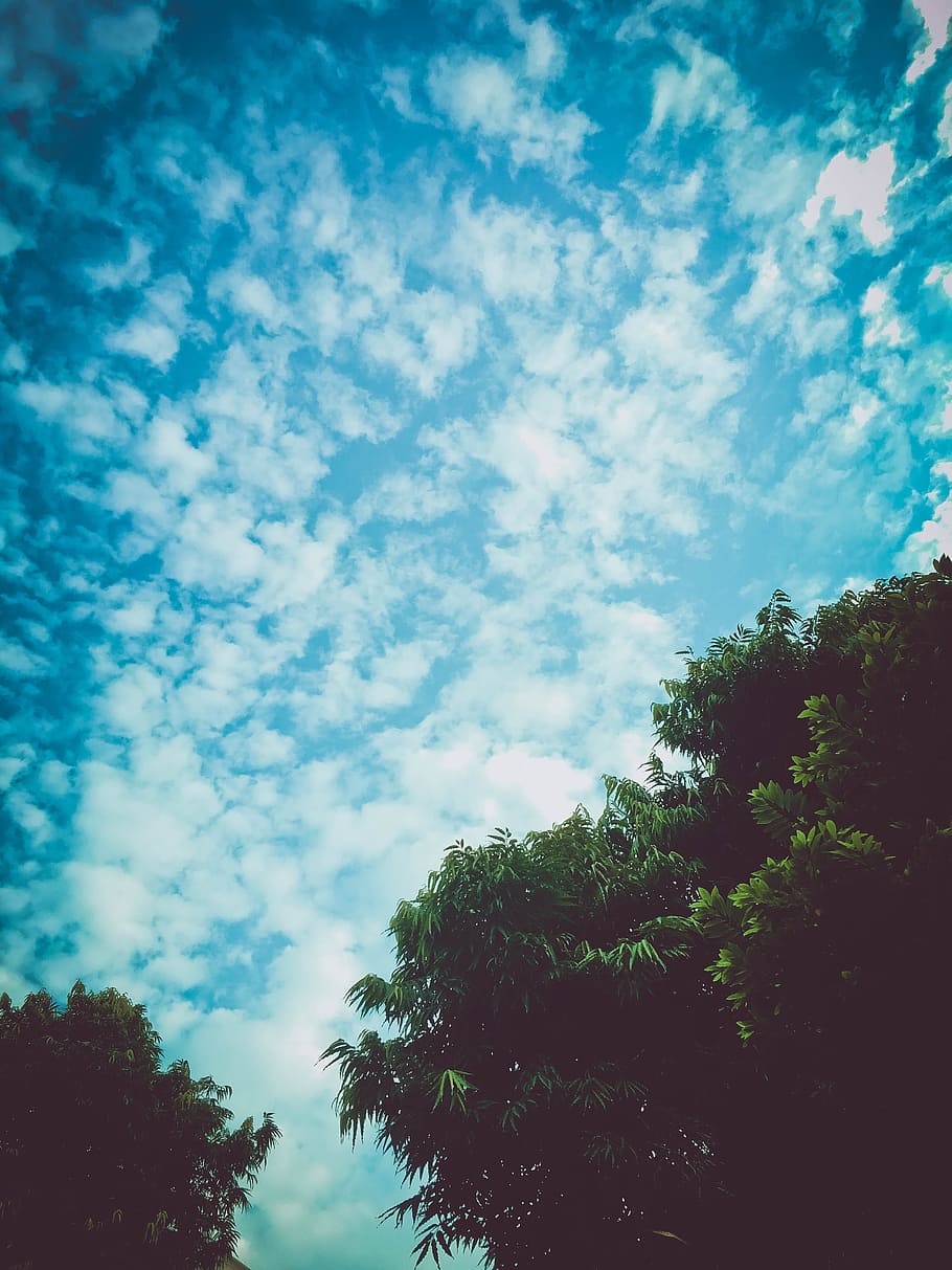 clouds, weather, natural, sky, cloudy, blue, cloudscape, heaven HD wallpaper