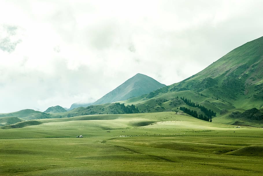cloudy, field, grass, highlands, hills, landscape, lawn, mountains, HD wallpaper