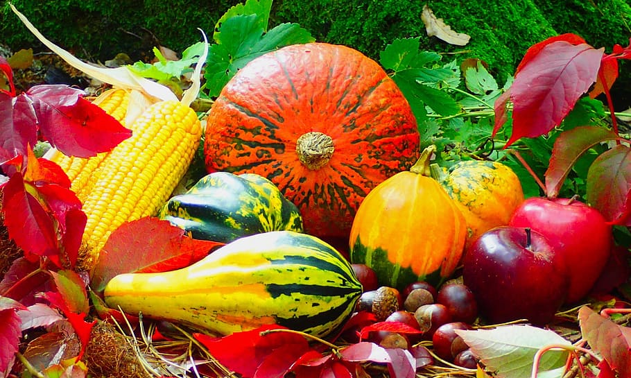 lot of assorted fruits and vegetables, autumn, harvest, fall, HD wallpaper
