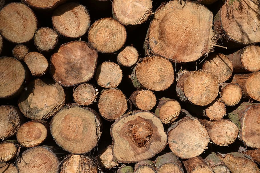 tree trunks, timber, timber industry, holzstapel, strains, woodworks HD wallpaper